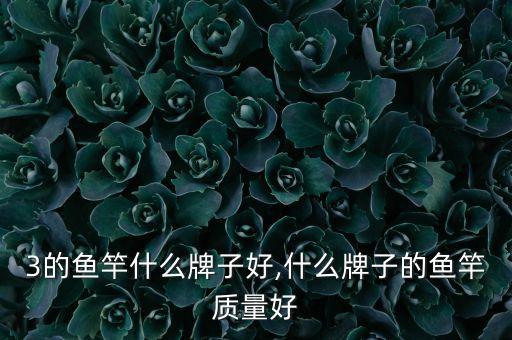 6.3的鱼竿什么牌子好,什么牌子的鱼竿质量好?