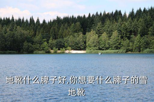 买雪地靴什么牌子好,你想要什么牌子的雪地靴?