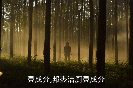 灵成分,邦杰洁厕灵成分