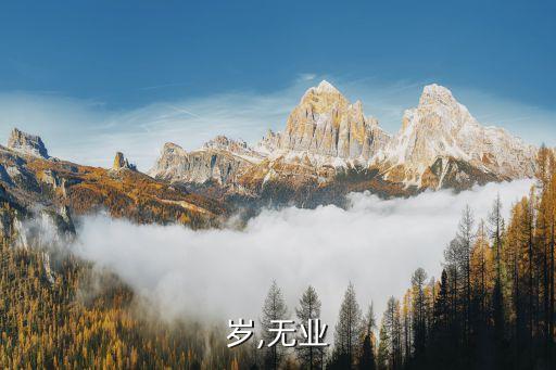 岁,无业