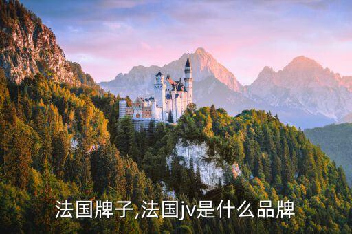 法国牌子,法国jv是什么品牌