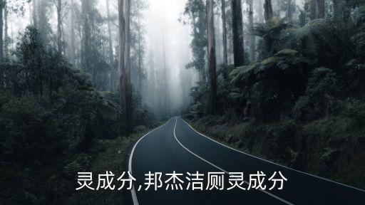 洁厕灵成分,邦杰洁厕灵成分
