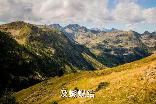 怎么及蝴蝶结