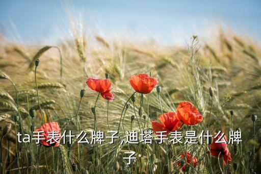 ta手表什么牌子,迪塔手表是什么牌子