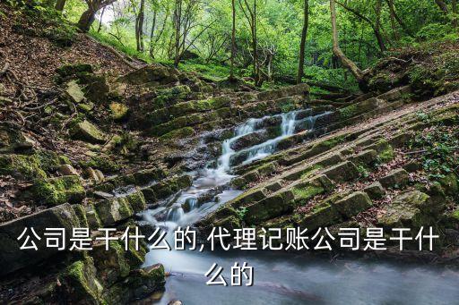 公司是干什么的,代理记账公司是干什么的