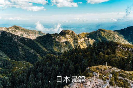 、日本景鲤