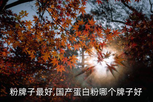 蛋白粉牌子最好,国产蛋白粉哪个牌子好?