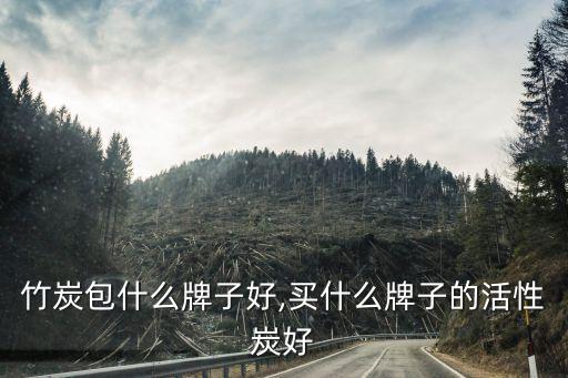 竹炭包什么牌子好,买什么牌子的活性炭好