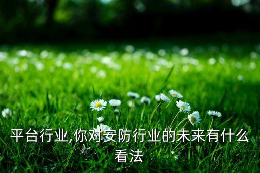 安防平台行业,你对安防行业的未来有什么看法?