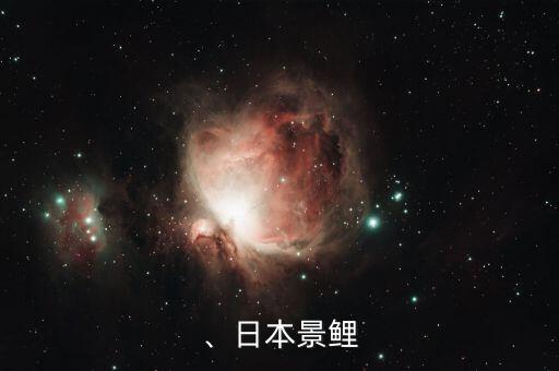 、日本景鲤