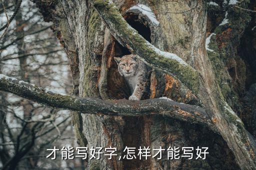才能写好字,怎样才能写好
