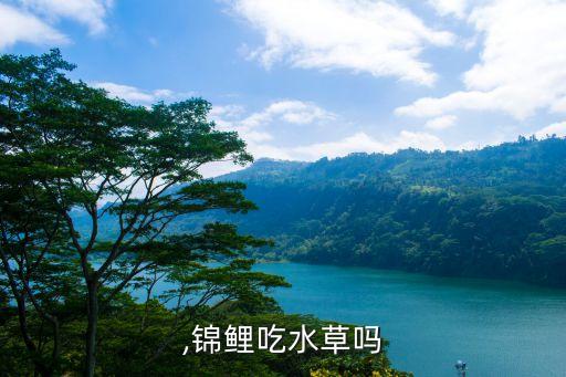锦鲫,锦鲤吃水草吗?