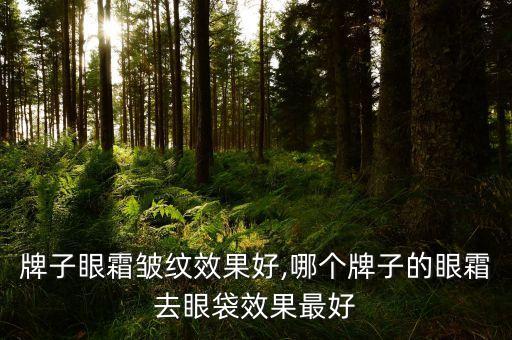 牌子眼霜皱纹效果好,哪个牌子的眼霜去眼袋效果最好