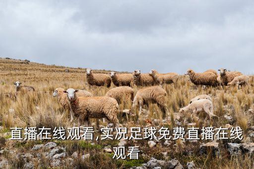 直播在线观看,实况足球免费直播在线观看