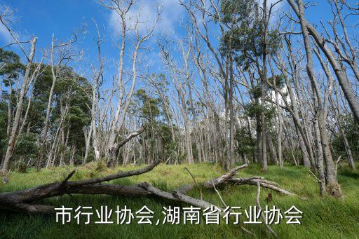 市行业协会,湖南省行业协会
