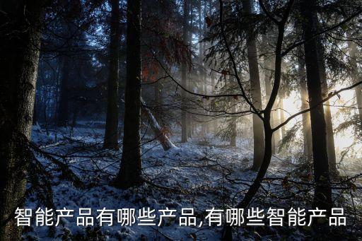 智能产品有哪些产品,有哪些智能产品