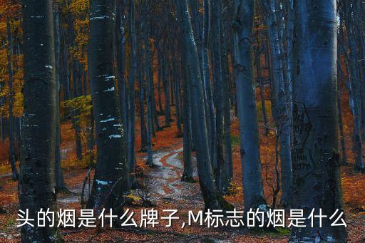 m开头的烟是什么牌子,M标志的烟是什么?