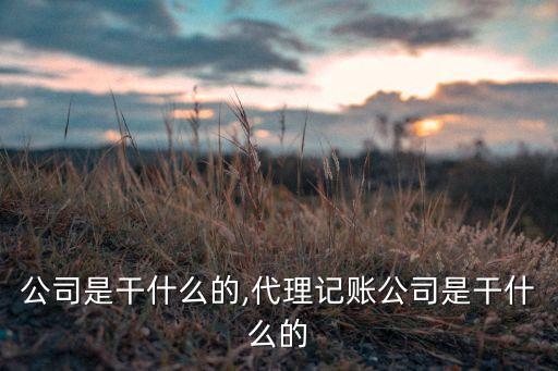 记账公司是干什么的,代理记账公司是干什么的