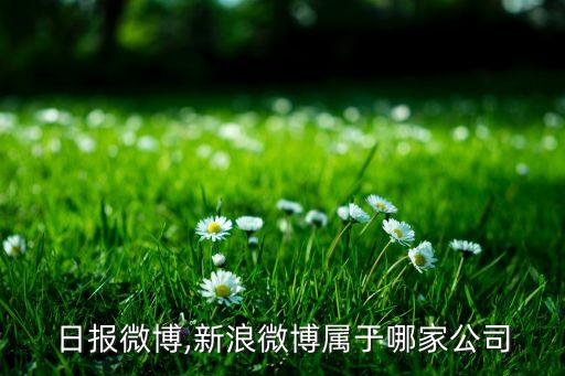 中国日报微博,新浪微博属于哪家公司?
