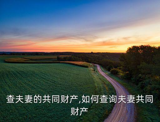 查夫妻的共同财产,如何查询夫妻共同财产