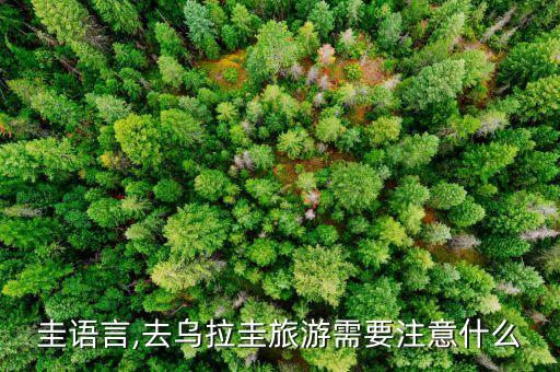 乌拉圭语言,去乌拉圭旅游需要注意什么?