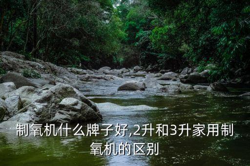 2升制氧机什么牌子好,2升和3升家用制氧机的区别
