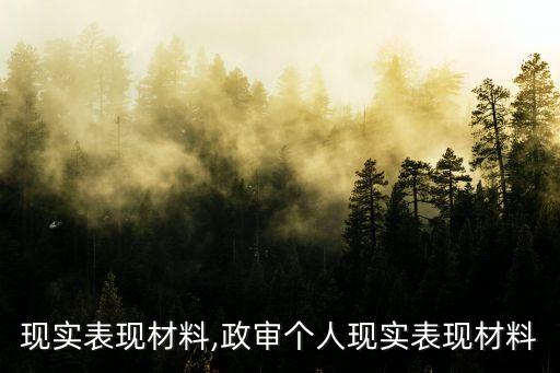 个人现实表现材料,政审个人现实表现材料