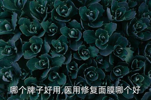 冰膜哪个牌子好用,医用修复面膜哪个好?