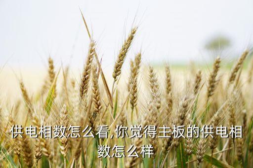 主板供电相数怎么看,你觉得主板的供电相数怎么样?
