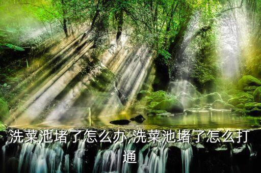 洗菜池堵了怎么办,洗菜池堵了怎么打通