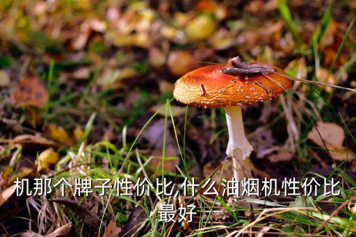 油烟机那个牌子性价比,什么油烟机性价比最好?