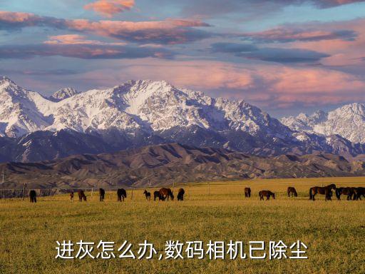 进灰怎么办,数码相机已除尘