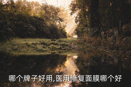 哪个牌子好用,医用修复面膜哪个好