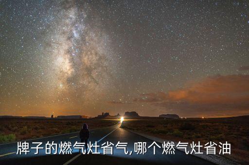 牌子的燃气灶省气,哪个燃气灶省油