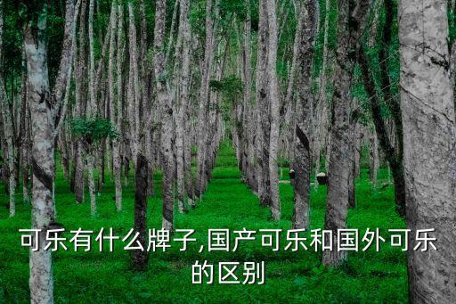国外可乐有什么牌子,国产可乐和国外可乐的区别