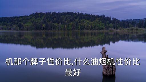 机那个牌子性价比,什么油烟机性价比最好