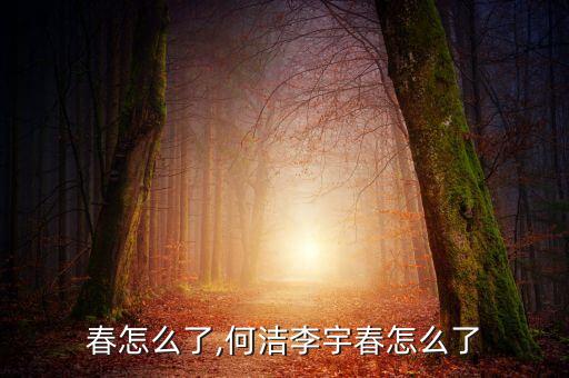 春怎么了,何洁李宇春怎么了