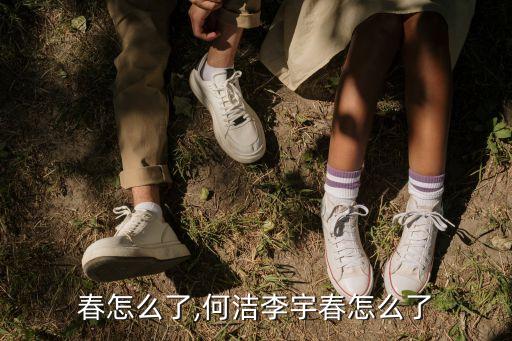 李宇春怎么了,何洁李宇春怎么了