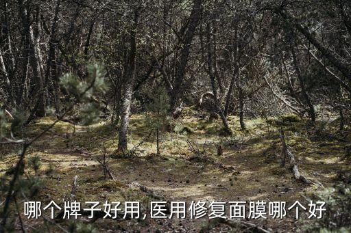哪个牌子好用,医用修复面膜哪个好