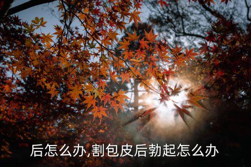 后怎么办,割包皮后勃起怎么办