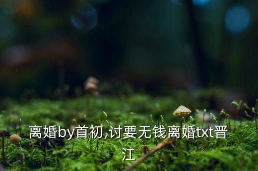 没钱离婚by首初,讨要无钱离婚txt晋江