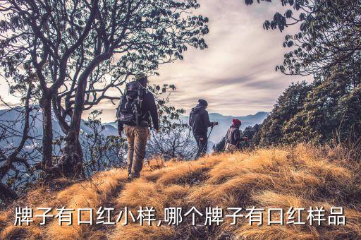 牌子有口红小样,哪个牌子有口红样品