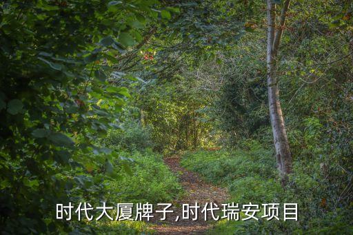 瑞安时代大厦牌子,时代瑞安项目
