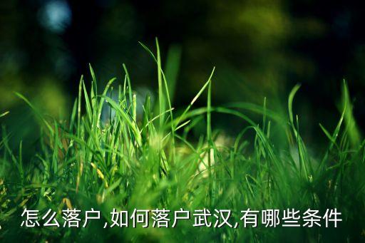 武汉怎么落户,如何落户武汉,有哪些条件?