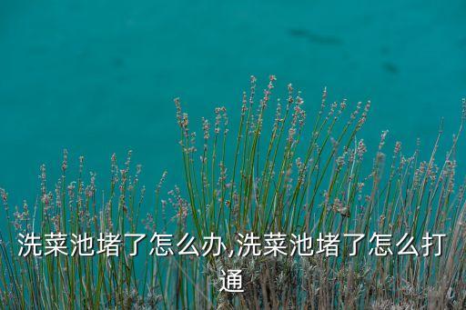 厨房洗菜池堵了怎么办,洗菜池堵了怎么打通?