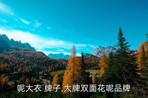 双面呢大衣 牌子,大牌双面花呢品牌