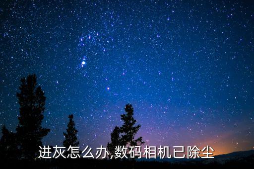 进灰怎么办,数码相机已除尘