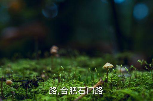 石门路,合肥石门路