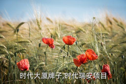 时代大厦牌子,时代瑞安项目