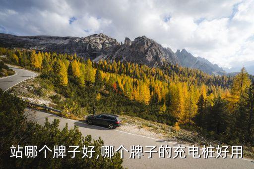 站哪个牌子好,哪个牌子的充电桩好用